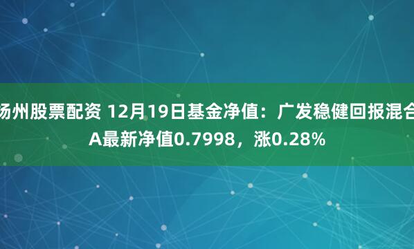 扬州股票配资 12月19日基金净值：广发稳健回报混合A最新净值0.7998，涨0.28%