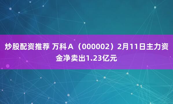 炒股配资推荐 万科Ａ（000002）2月11日主力资金净卖出1.23亿元