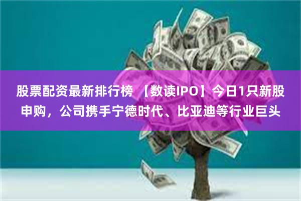 股票配资最新排行榜 【数读IPO】今日1只新股申购，公司携手宁德时代、比亚迪等行业巨头