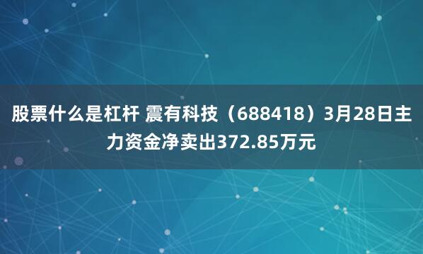 股票什么是杠杆 震有科技（688418）3月28日主力资金净卖出372.85万元