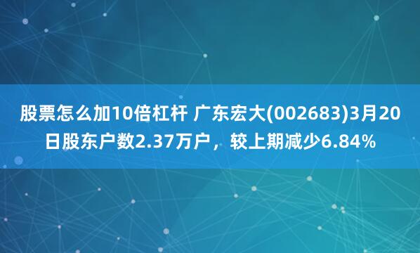 股票怎么加10倍杠杆 广东宏大(002683)3月20日股东户数2.37万户，较上期减少6.84%