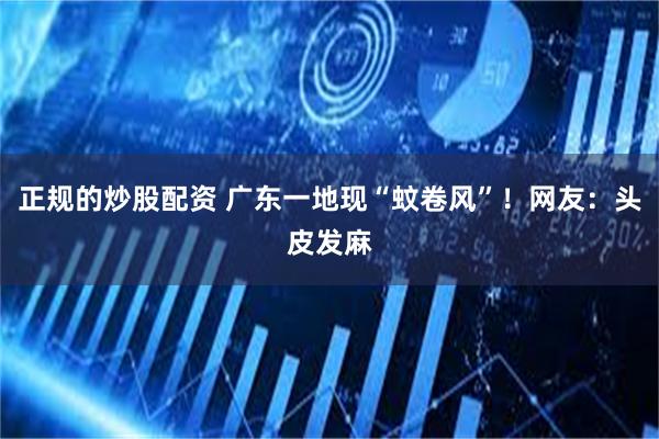 正规的炒股配资 广东一地现“蚊卷风”！网友：头皮发麻