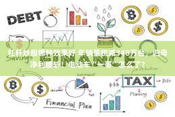 杠杆炒股哪种效果好 年销量锐减348万台，归母净利腰斩！电动车“一哥”怎么了？