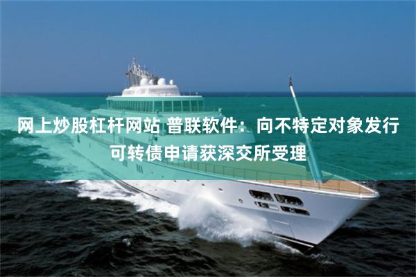 网上炒股杠杆网站 普联软件：向不特定对象发行可转债申请获深交所受理