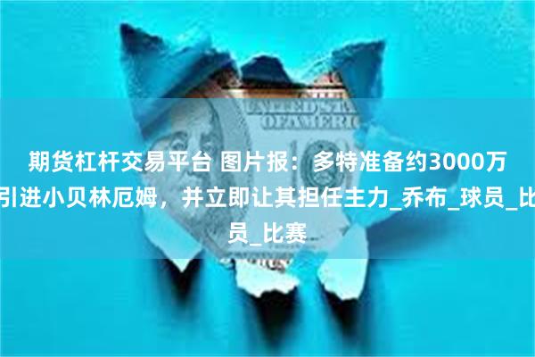 期货杠杆交易平台 图片报：多特准备约3000万欧引进小贝林厄姆，并立即让其担任主力_乔布_球员_比赛