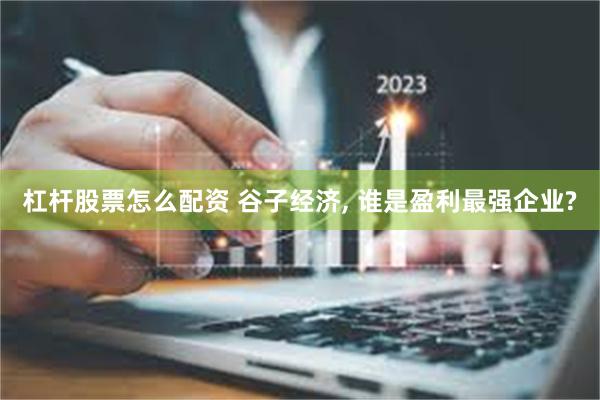 杠杆股票怎么配资 谷子经济, 谁是盈利最强企业?