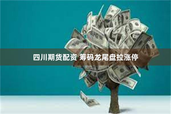 四川期货配资 筹码龙尾盘拉涨停