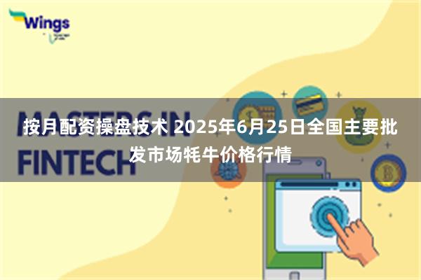 按月配资操盘技术 2025年6月25日全国主要批发市场牦牛价格行情