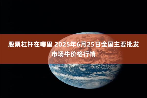 股票杠杆在哪里 2025年6月25日全国主要批发市场牛价格行情